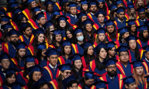 A large group of university graduates in caps ands gowns